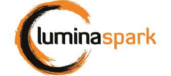 Lumina Spark personality test