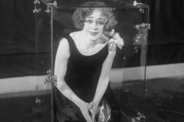 bess houdini